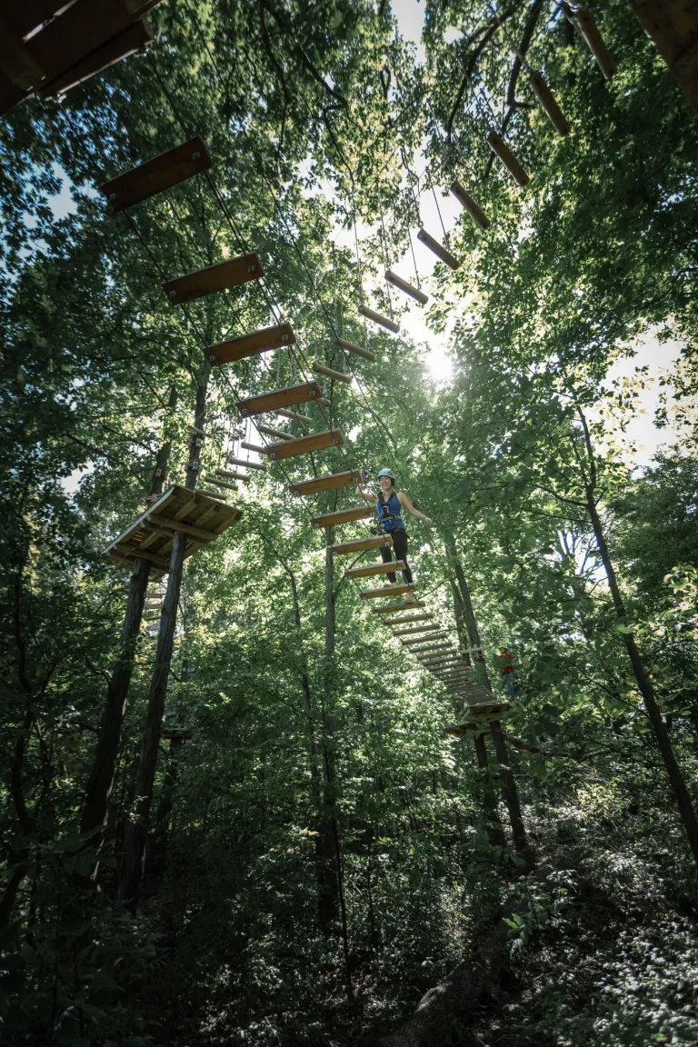 Treetop Trekking Hamilton
